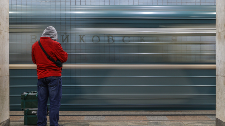 Нутрию заметили в вагоне метро в Москве