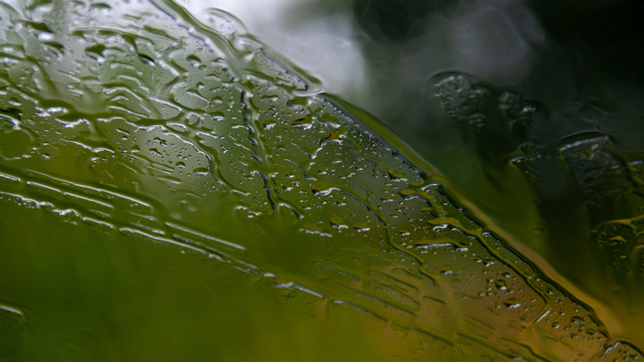 В Брюховецком районе введён режим повышенной готовности из-за надвигающейся непогоды