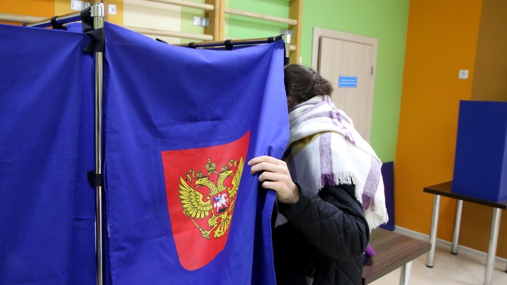 Нижегородка пришла на выборы в маске кота
