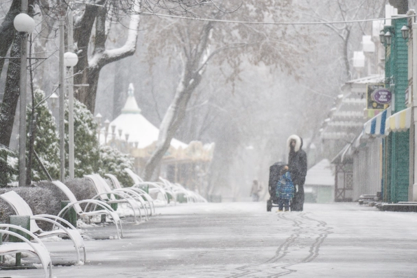 Мэр Благовещенска объявил режим ЧС из-за бури столетия