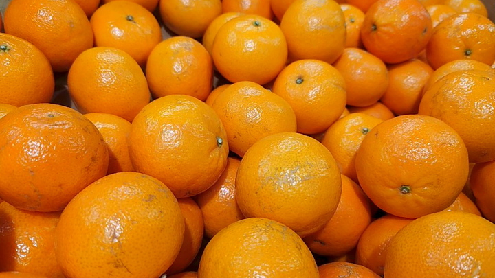 Жители Абхазии пришлют юным запорожцам мандарины со своих садов