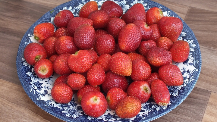 Учёные назвали топ-3 продукта для ума