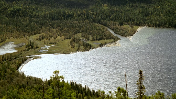 Лесничего из Красного Чикоя судят за то, что он закрывал глаза на незаконные рубки