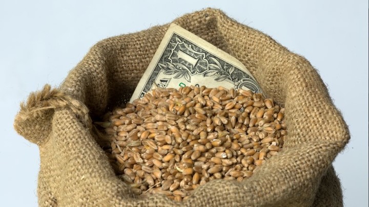 Турция надеется уговорить русских: В Стамбуле заявили о будущем зерновой сделки