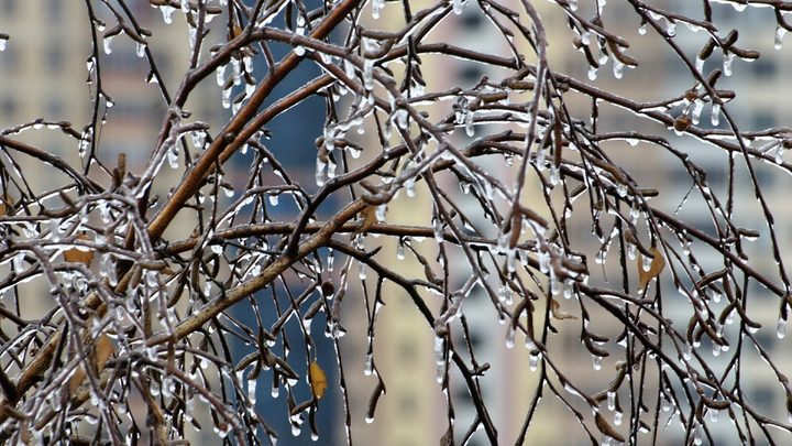 В Екатеринбурге вновь зафиксирован температурный рекорд