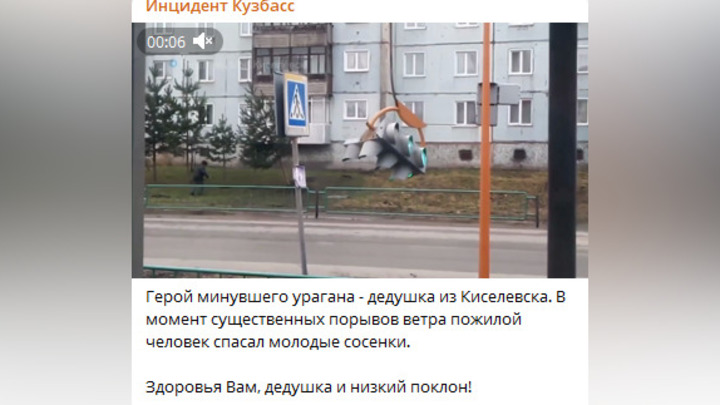 Мужчина с лопатой в руках спасал елочки во время урагана в Кузбассе