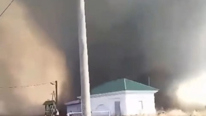 Огненный торнадо впервые заметили во время пожара в Приморье
