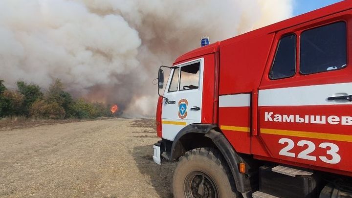 В Ростовской области в одном из районов объявлен режим ЧС из-за крупного пожара в лесничестве
