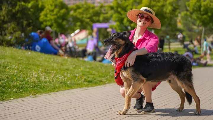 Гости фестиваля Лапки забрали более 30 животных из приютов домой