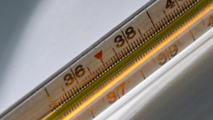 Десятки детей в Индии слегли с томатным гриппом: что известно об этой болезни