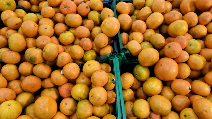 Госдума отложила ратификацию протокола к соглашению о торговле с Абхазией