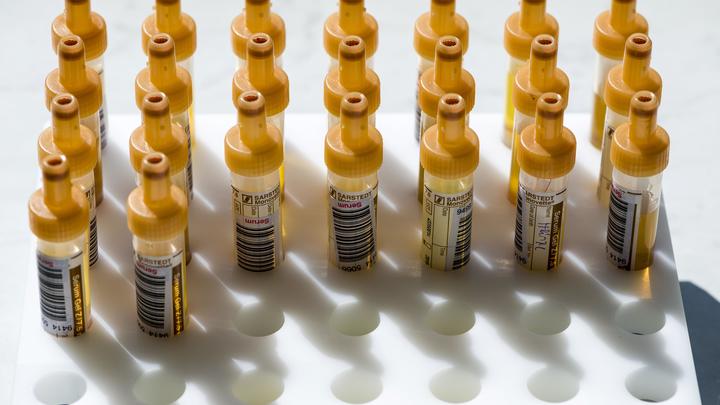 В мире началась охота за пустыми ампулами от вакцин: Об опасности сообщил гендиректор ВОЗ