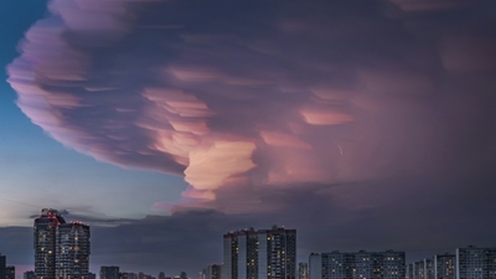 Приборы начнут давать сбои, а птицы полетят не туда: Учёные предрекли катаклизм 3 сентября