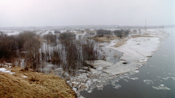 Авдотья Весновка 14 марта: нельзя хвастаться и запрещено стричь ногти