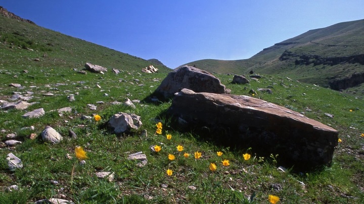 Названо идеальное время года для посещения Казахстана