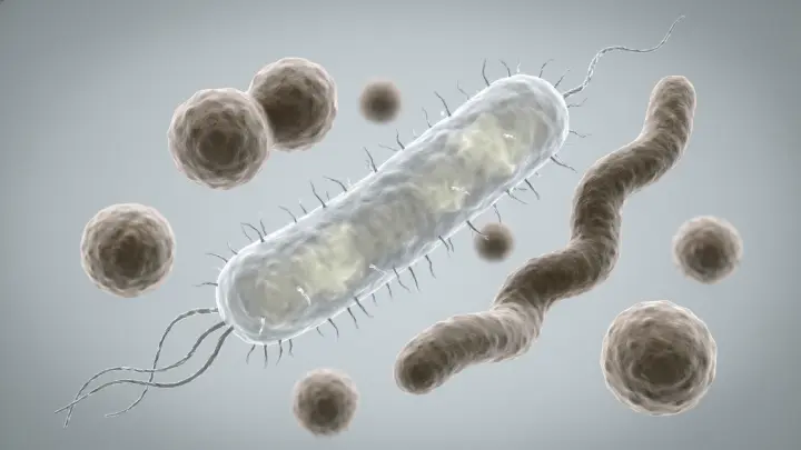 Осторожно: найдены древние бактерии, устойчивые ко всем антибиотикам