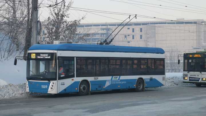 Жители Европейского берега попросили Путина спасти их от автономных троллейбусов