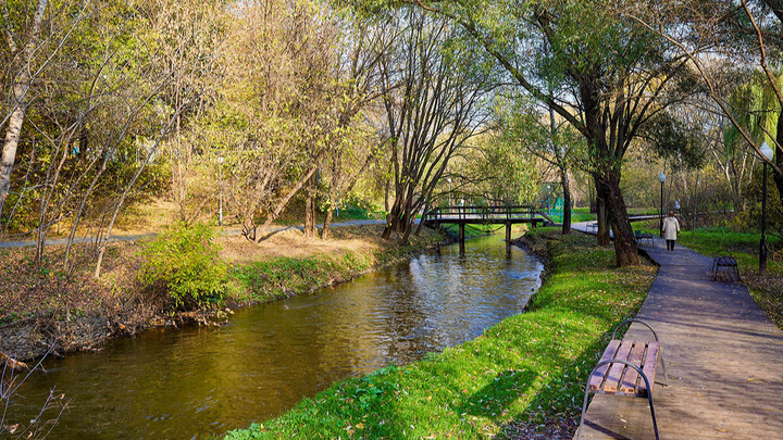 Собянин объявил о создании особо охраняемой территории: 23 гектара редкостей