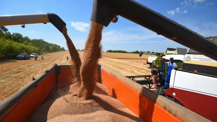 В России появились четкие правила для продажи фермерских продуктов