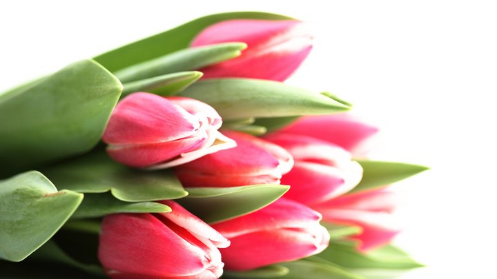 Русская весна: Вежливые люди подарили крымчанкам цветы к 8 Марта - фото