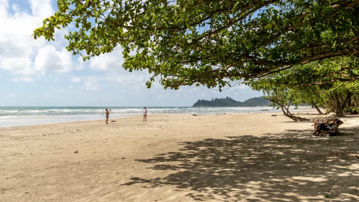 Смотреть страшно, когда выходят из воды: На пляжах Таиланда неизвестные существа атакуют туристов Смотреть страшно, когда выходят из воды: На пляжах Таиланда неизвестные существа атакуют туристов