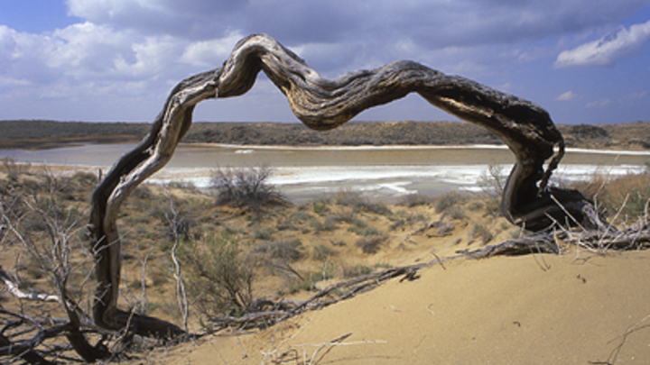 Жара одолеет холода? 2021 год может обновить температурный рекорд