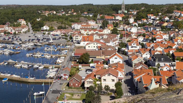 Извините за язык: Русское крепкое слово о санкциях впечатлило Швецию