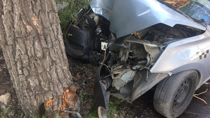 Спас собаку - врезался в дерево. В Самарской области таксист покалечил клиента