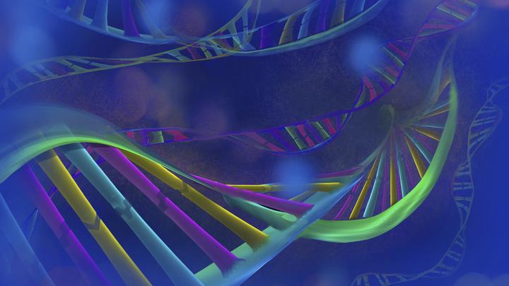 Человекороботы на конвейере под заказчика: Учёные готовы исполнить мечты нацистов?