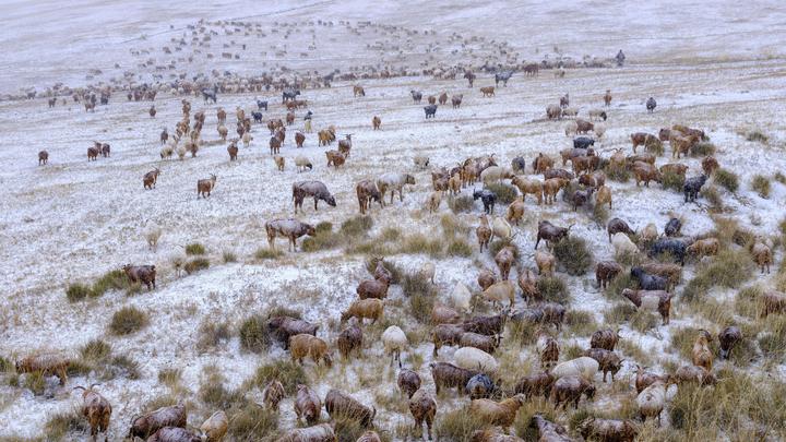 США и Европа не сошлись в показаниях о российско-монгольском землетрясении