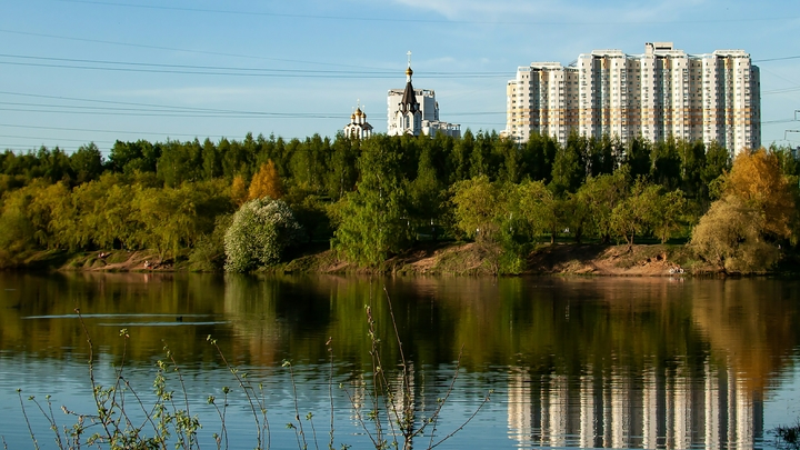 Эколог рассказал, откуда в нижегородских озёрах появились черви-паразиты, и чем они опасны