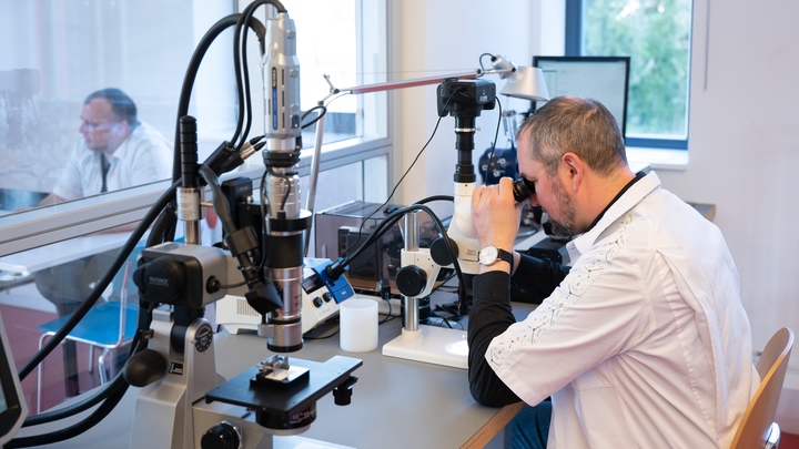 Определить рак на ранней стадии в домашних условиях: В России создали чип специально для этого