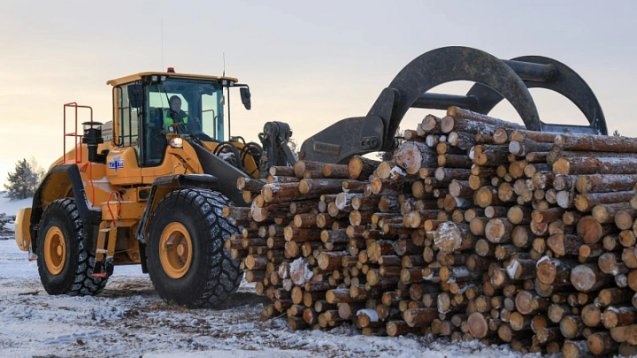 В Верхней Тойме готовят лес для весеннего сплава
