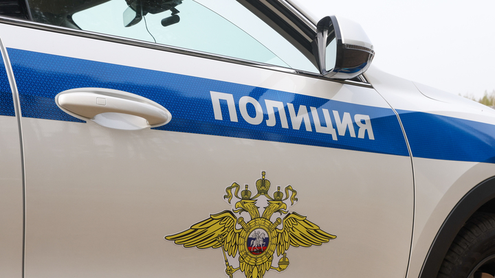 Под Воронежем случайно обнаружен тайник со взрывчаткой: Следователи выяснили детали