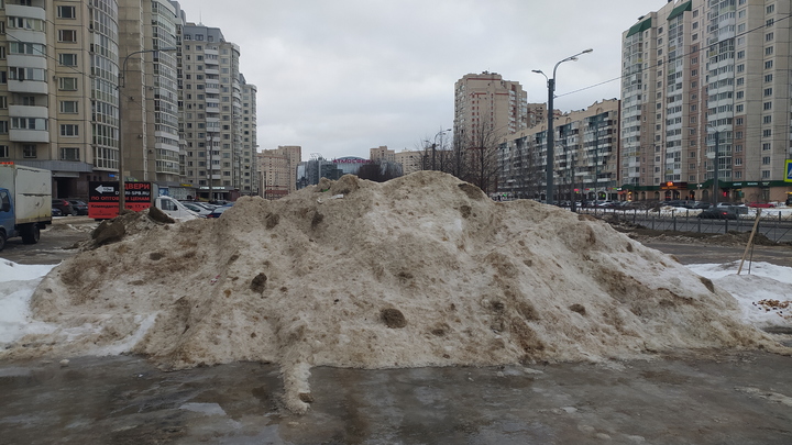 Александр Беглов нашел виноватого в плохой уборке снега в Петербурге