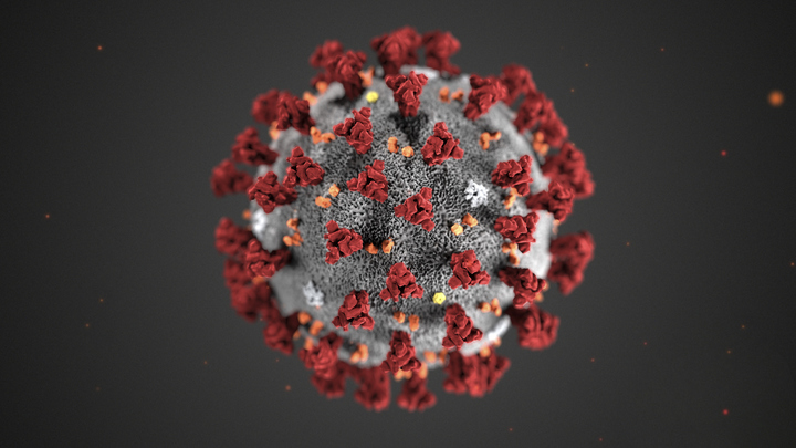 Учёные раскрыли тайну камуфляжа коронавируса: Особым образом изменяет структуру генома