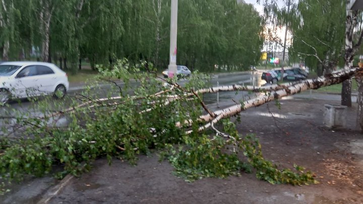 После рекордной жары синоптики пообещали Екатеринбургу дожди и прохладу