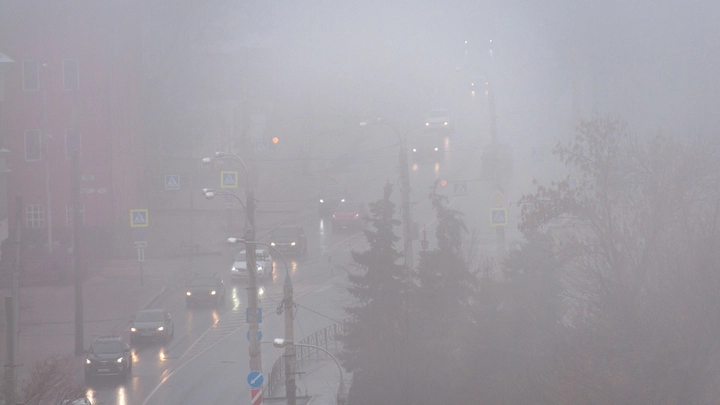 Зловоние вместо аромата: жители Адлера жалуются на амбре в парке Южные культуры