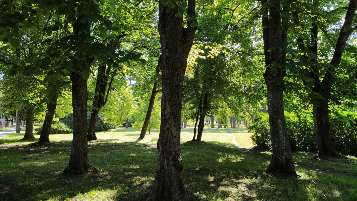 Жителей России расстроил прогноз погоды на неделю: Это аномалия