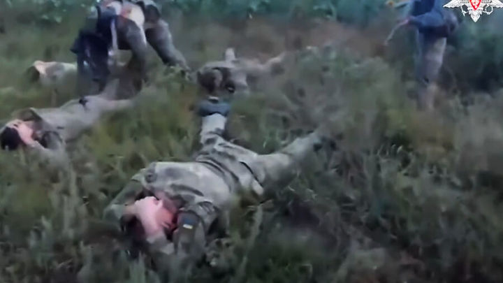 Минобороны: за неделю в зоне СВО в плен сдалось 87 военнослужащих ВСУ