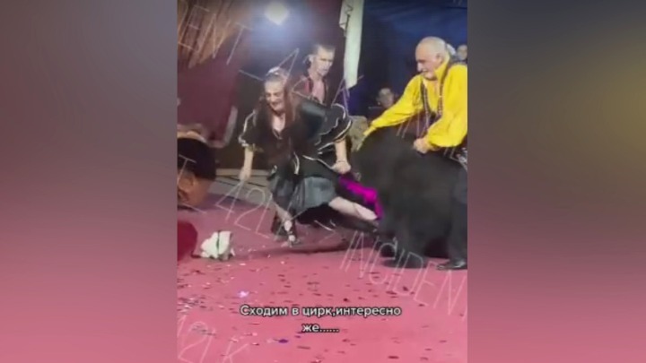 Медведь напал на дрессировщицу во время представления в Кузбассе