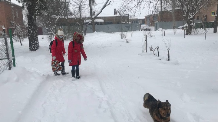 Погода в Краснодаре на 23 января 2022: город вновь накроет сильный снегопад