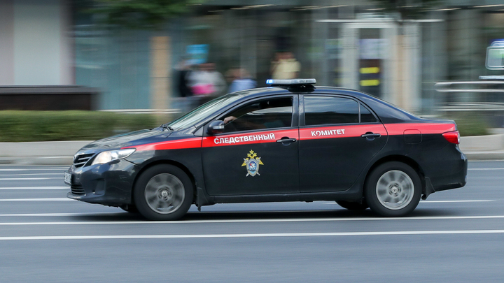 Украдено несколько тысяч подарочных сертификатов Детского мира: Следы привели к хакерам