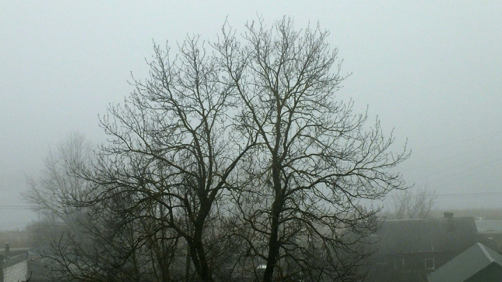 Появились кадры захода в Красноармейск русских штурмовиков под покровом тумана