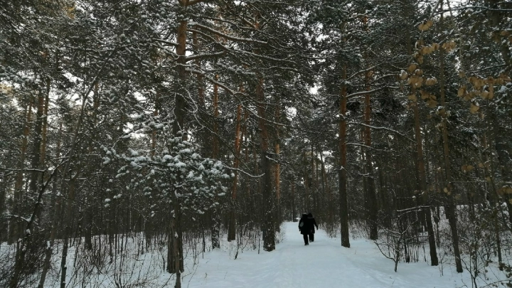 Двое детей пошли вдоль Волги и пропали в Ульяновске: что известно к этому часу