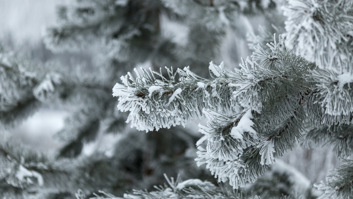 Осторожно, праздники: Погода готовит сюрприз, каких не было 20 лет