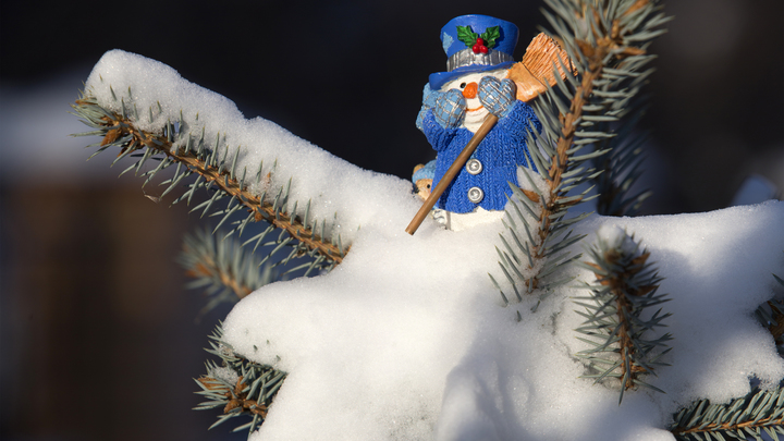 Будет ли 31 декабря выходным днём? Минтруд поставил точку в спорах