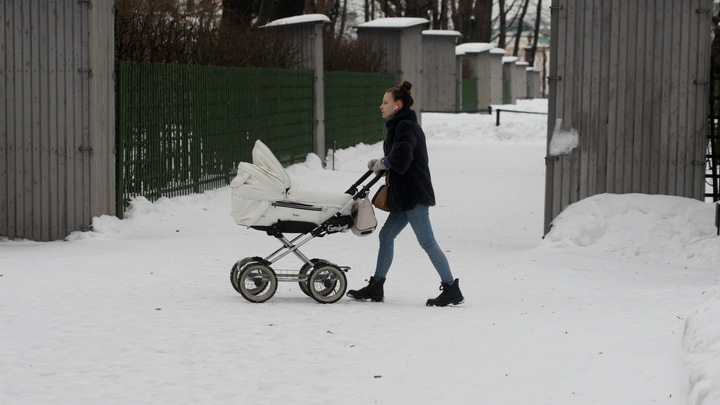 Многодетные семьи Подмосковья смогут получить по 100 тысяч рублей из регионального маткапитала