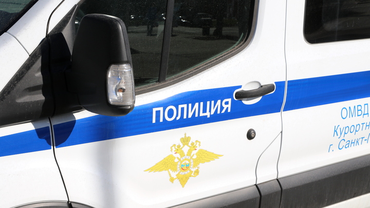 Загадка Пулковского шоссе: есть ли связь между поджогом машин и телом пропавшего гражданина Беларуси