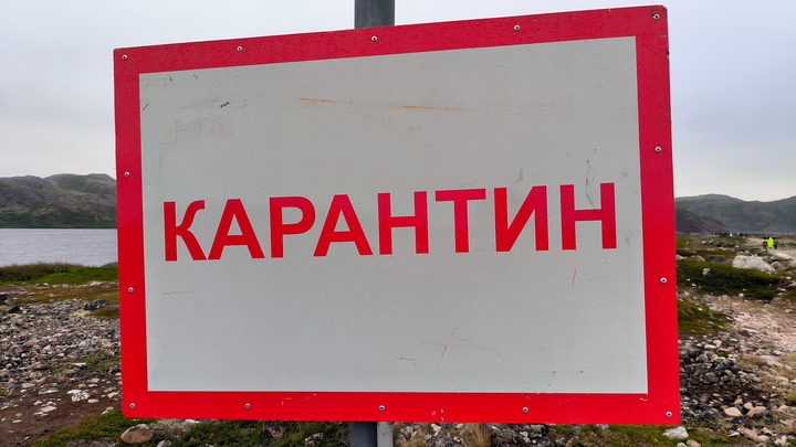 Очаг опасного неизлечимого заболевания найден под Самарой 3 июля